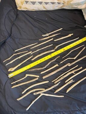 Natural Driftwood Terrarium Sticks – Brown Reptile Habitat Decor